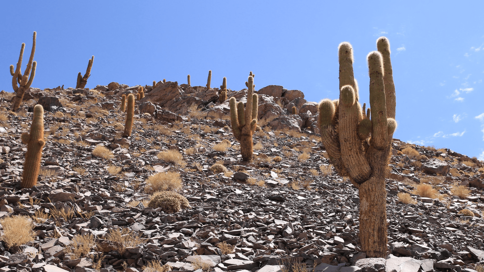 Deserto do Atacama